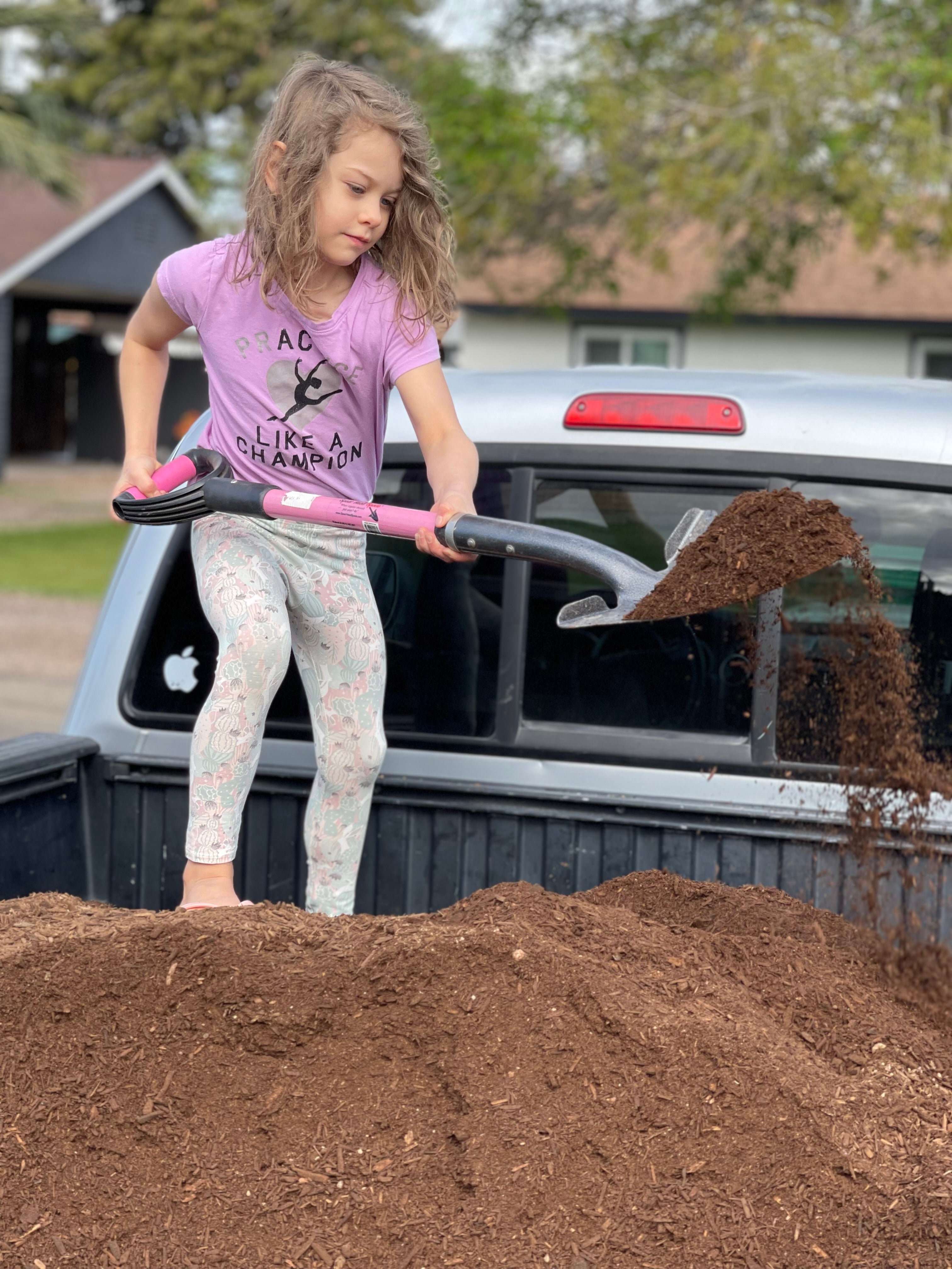 Rose Bush - Planting/Transplant | Flourish Roses LLC
